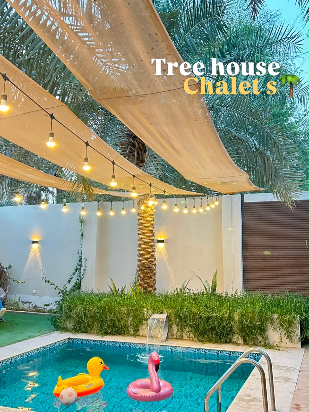 Tree House chalet