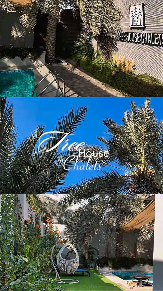 Tree House chalet
