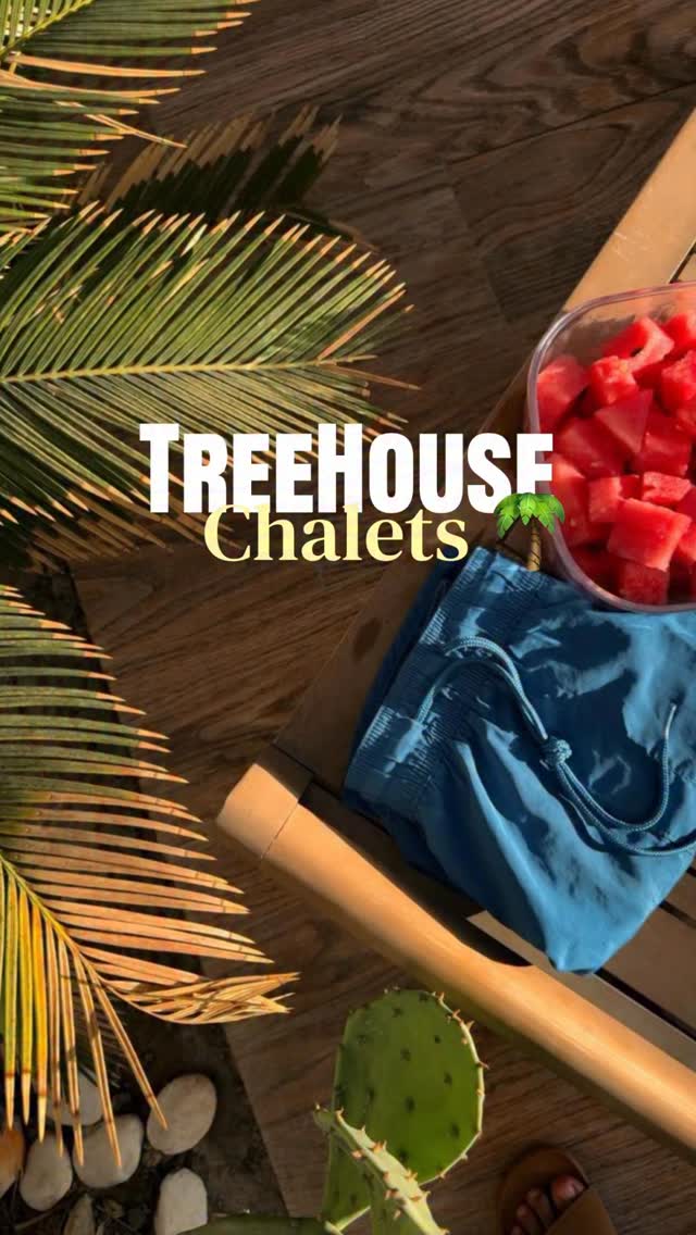 Tree House chalet