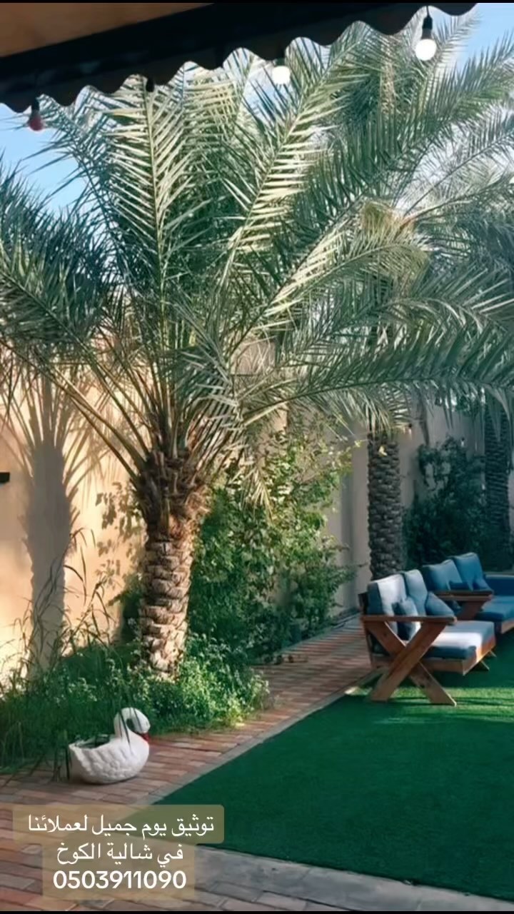 شاليه الكوخ